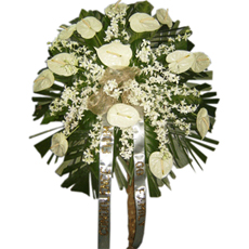 Gift Baskets Sympathy on White Orchids And A Dozen Of Anthuriums  By Raphael S Flowers   Gifts
